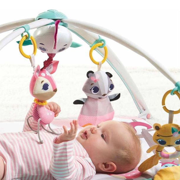 Βρεφικά Γυμναστήρια