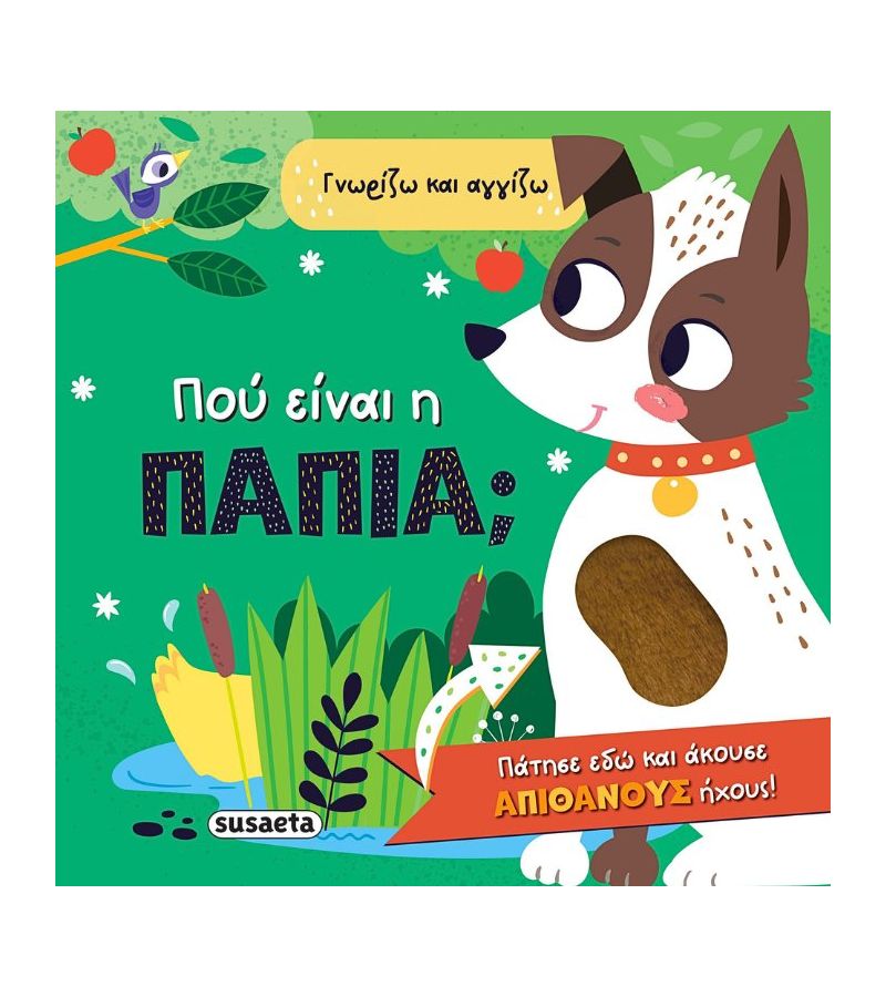 Ήχο Βιβλία: Που είναι η πάπια; SUSAETA 2584