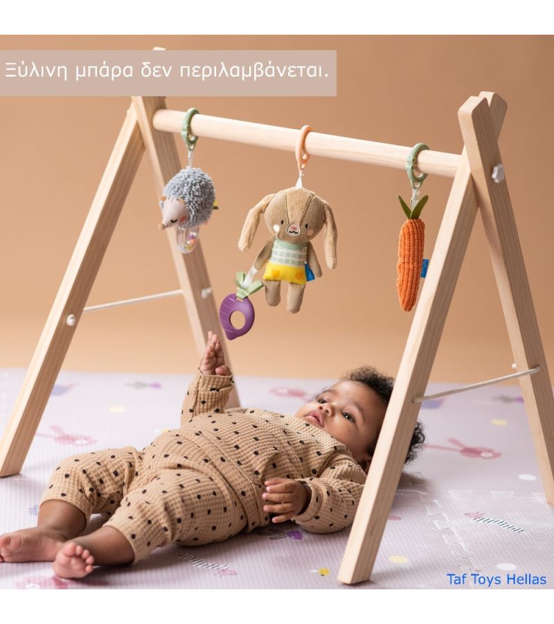 Σετ για νεογέννητο Activity Toys Kit TAF TOYS T-13225