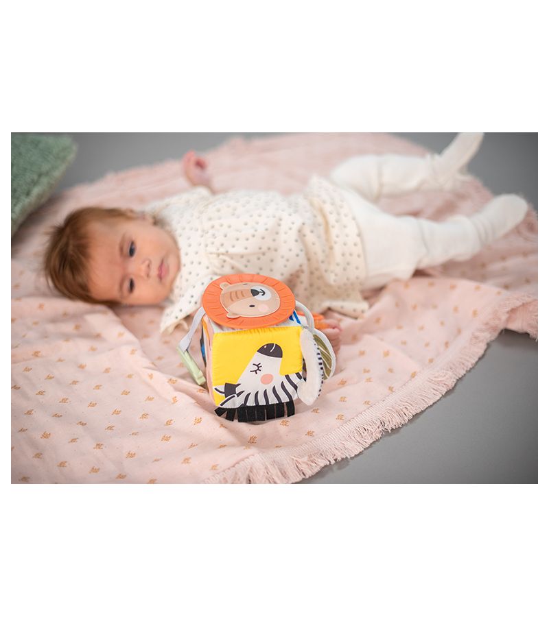 Κρεμαστό παιχνίδι δραστηριοτήτων TAF TOYS Savannah Discovery Cube 12755