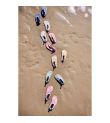 Παπουτσάκια θαλάσσης FRESK Surf Girl FR-SW2480-61