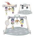 Αναδιπλούμενο Γυμναστήριο TAF TOYS Urban Garden 13075