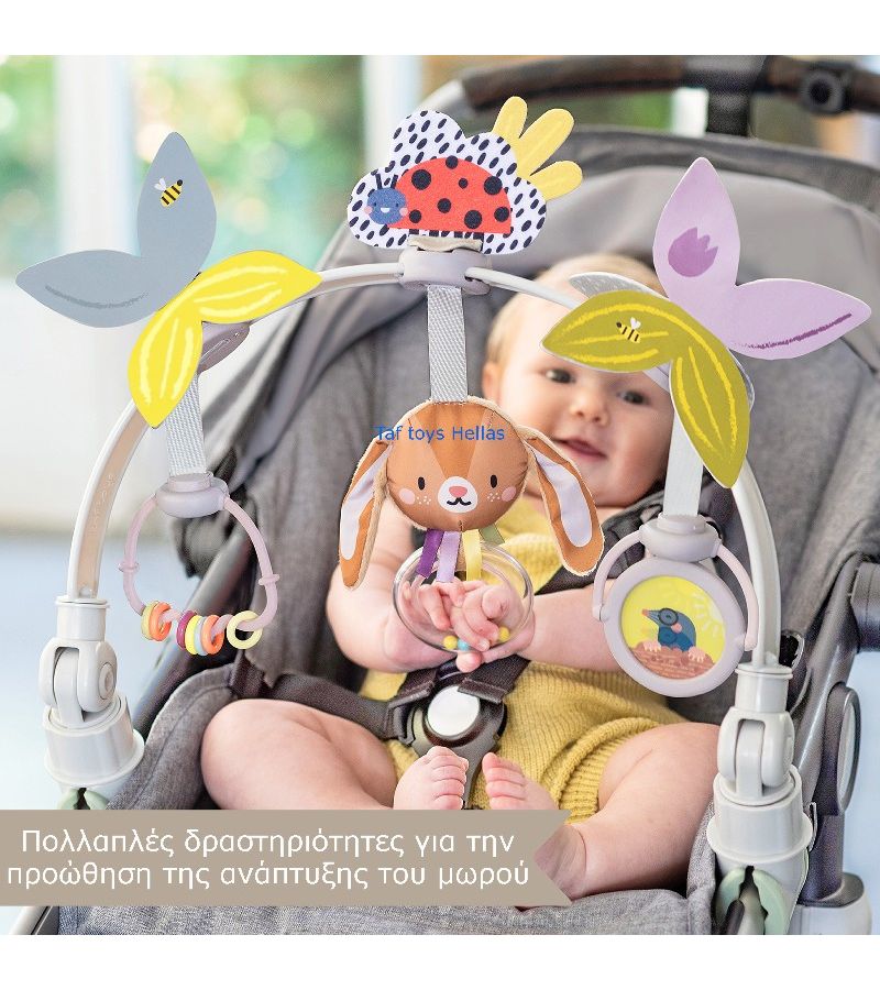 Μουσική αψίδα TAF TOYS Grow with me Arch 13315