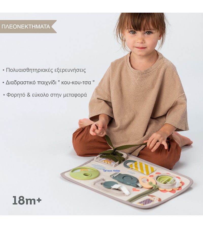 Παιχνίδι Δραστηριοτήτων Snap n Learn Board TAF TOYS 13485