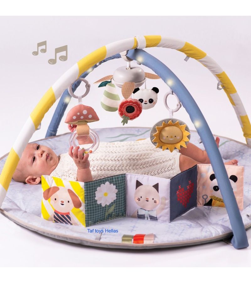 Γυμναστήριο δραστηριοτήτων TAF TOYS Melody Bloom 13495