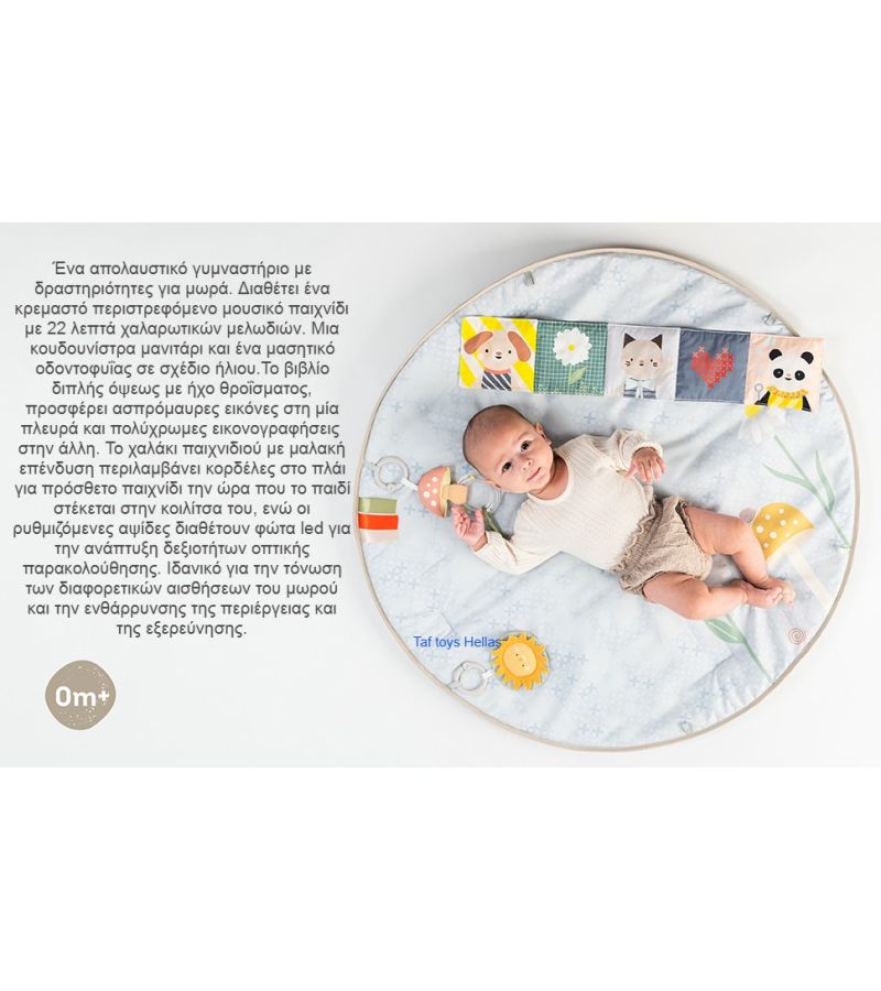 Γυμναστήριο δραστηριοτήτων TAF TOYS Melody Bloom 13495