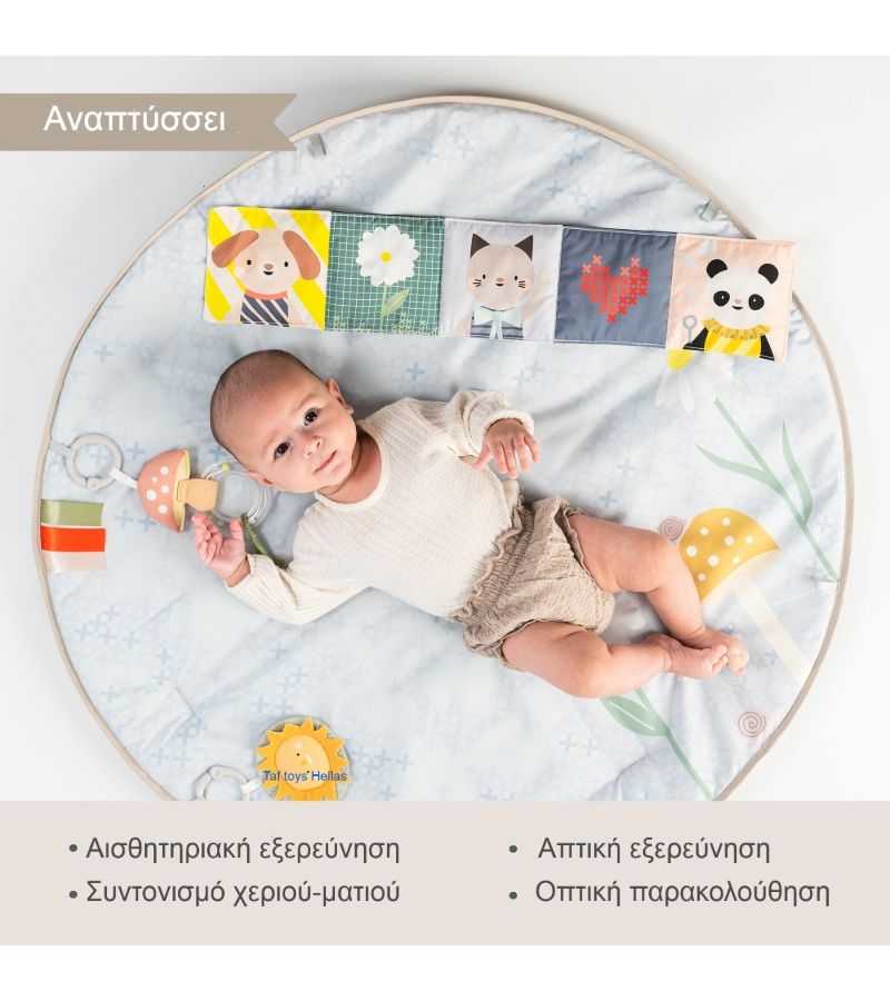 Γυμναστήριο δραστηριοτήτων TAF TOYS Melody Bloom 13495