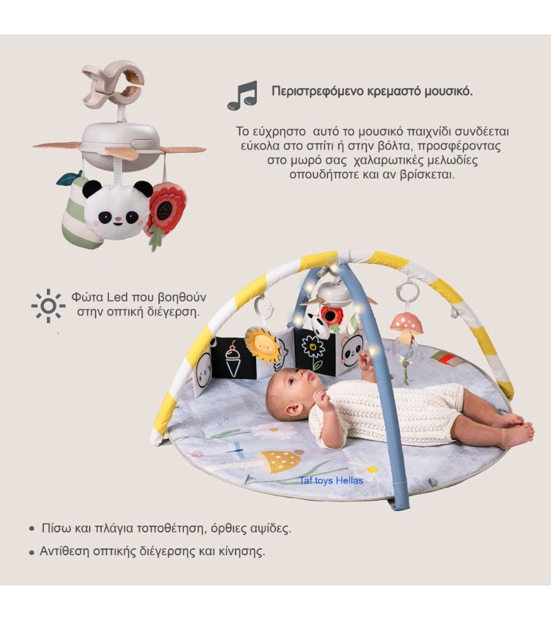 Γυμναστήριο δραστηριοτήτων TAF TOYS Melody Bloom 13495