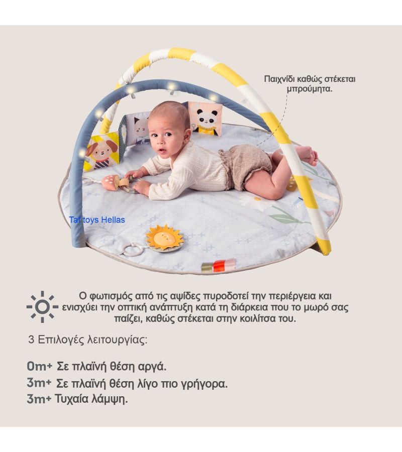 Γυμναστήριο δραστηριοτήτων TAF TOYS Melody Bloom 13495