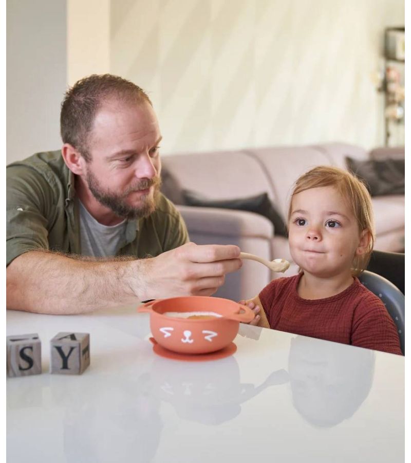 Σετ Σιλικόνης silicon bowl + spoon BABYMOOV Fox A005404