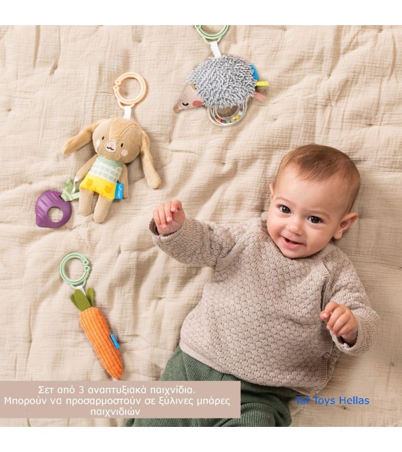 Σετ για νεογέννητο Activity Toys Kit TAF TOYS T-13225