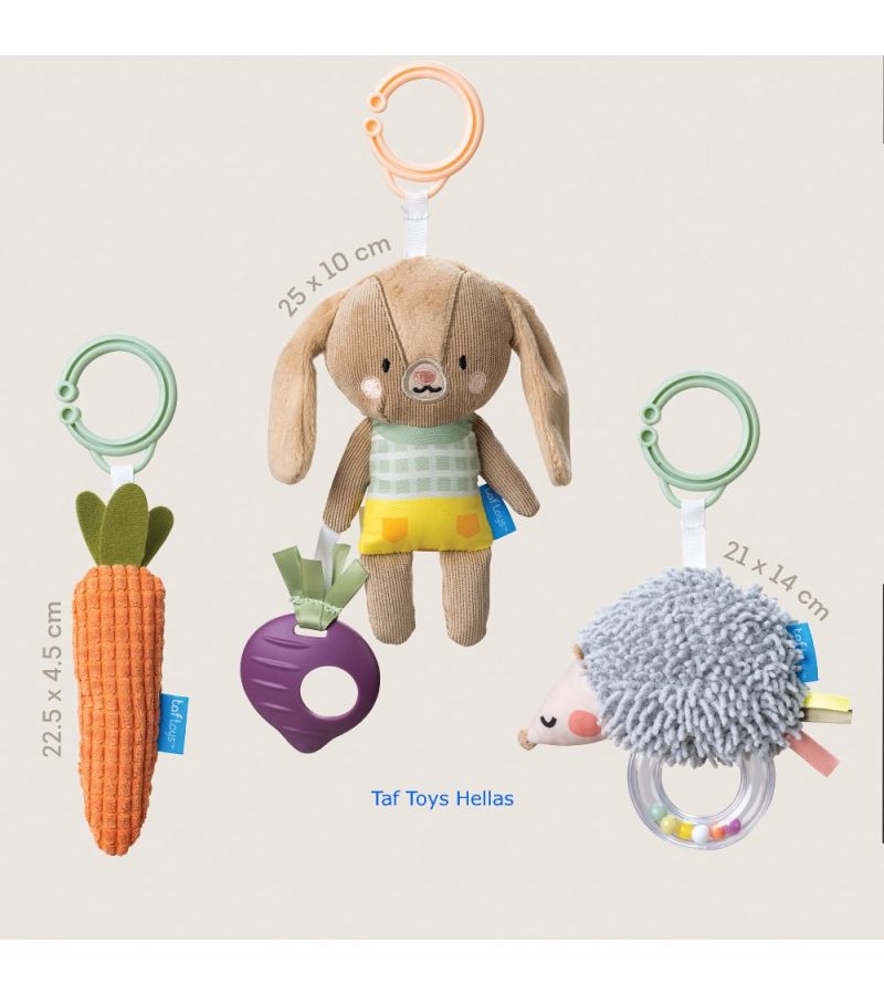 Σετ για νεογέννητο Activity Toys Kit TAF TOYS T-13225