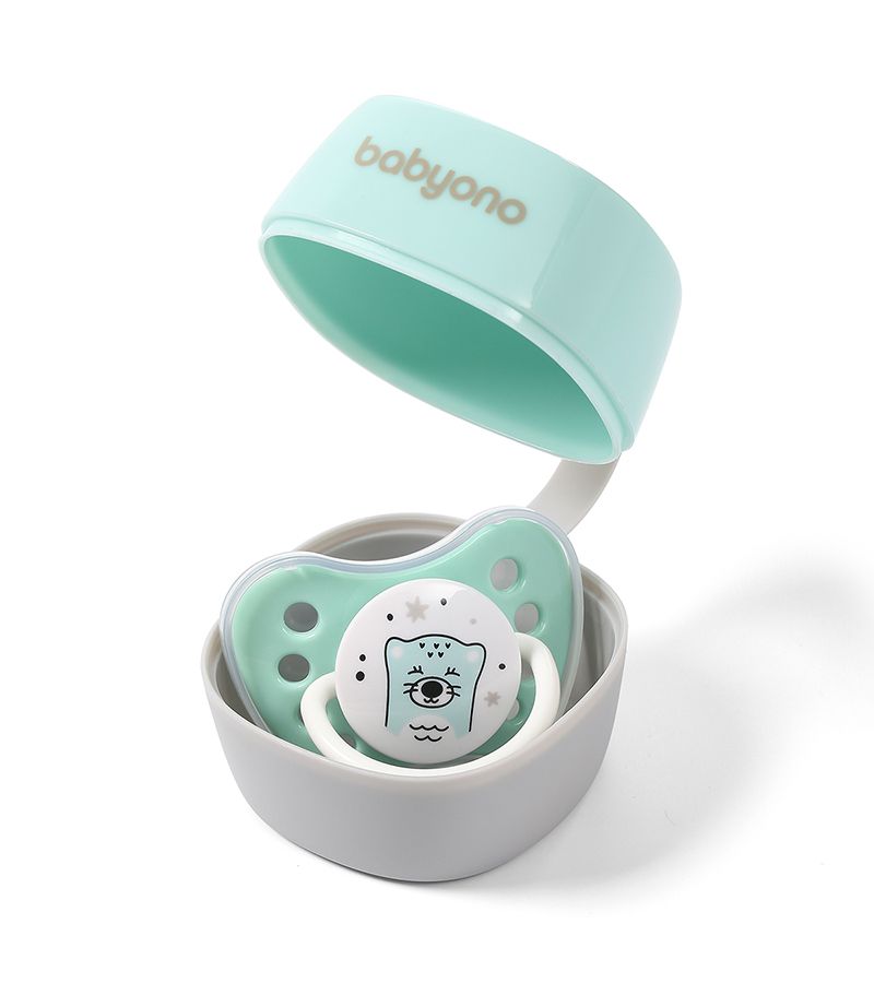 Θήκη για πιπίλα BABYONO Γκρι και Μέντα BN535/02