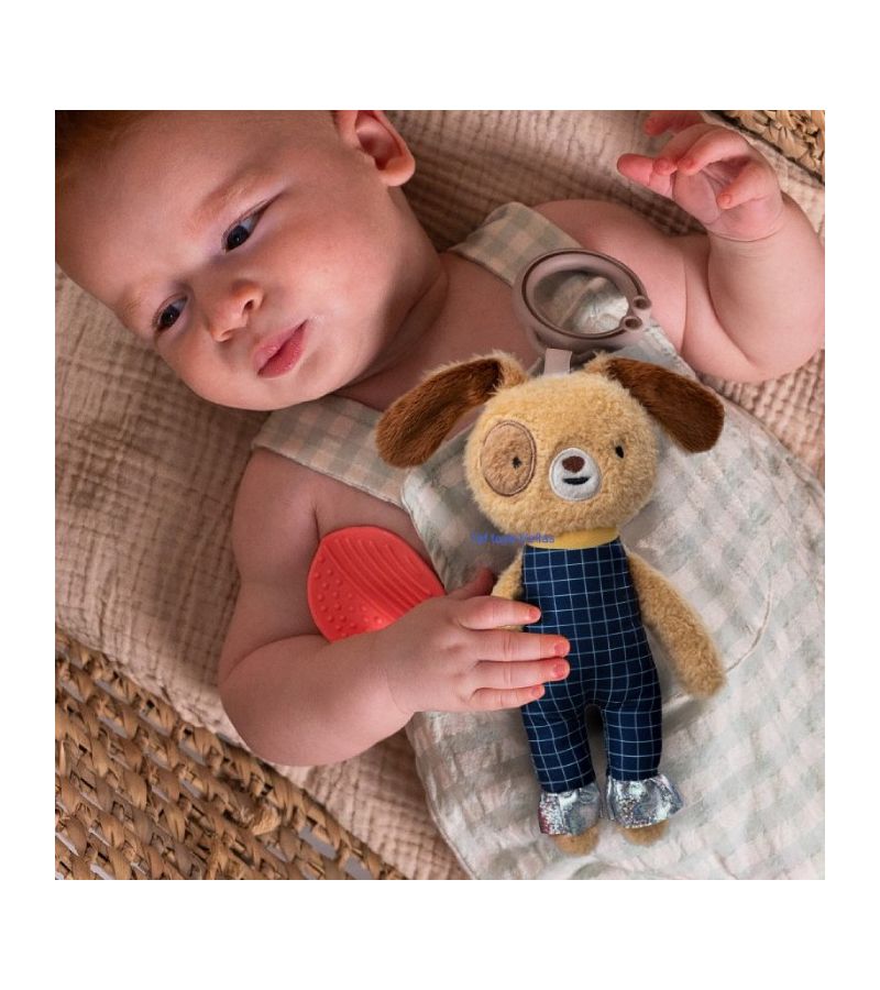 Daniel TAF TOYS Λούτρινο Παιχνιδάκι Δραστηριοτήτων T-13535
