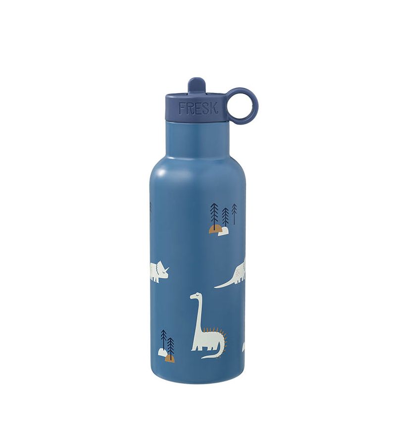 Θερμός από ανοξείδωτο ατσάλι FRESK 500ml με διπλό πώμα Dino FR-FD320-10