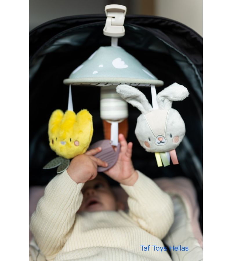 Κρεμαστό παιχνίδι TAF TOYS Garden Pram Mobile 13195