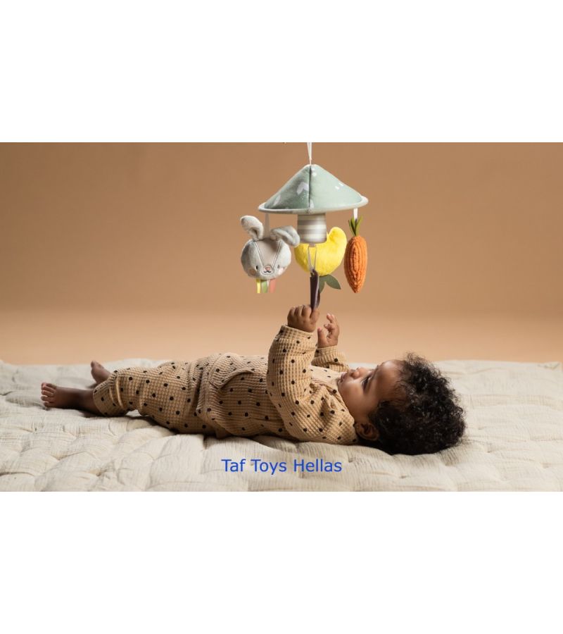 Κρεμαστό παιχνίδι TAF TOYS Garden Pram Mobile 13195