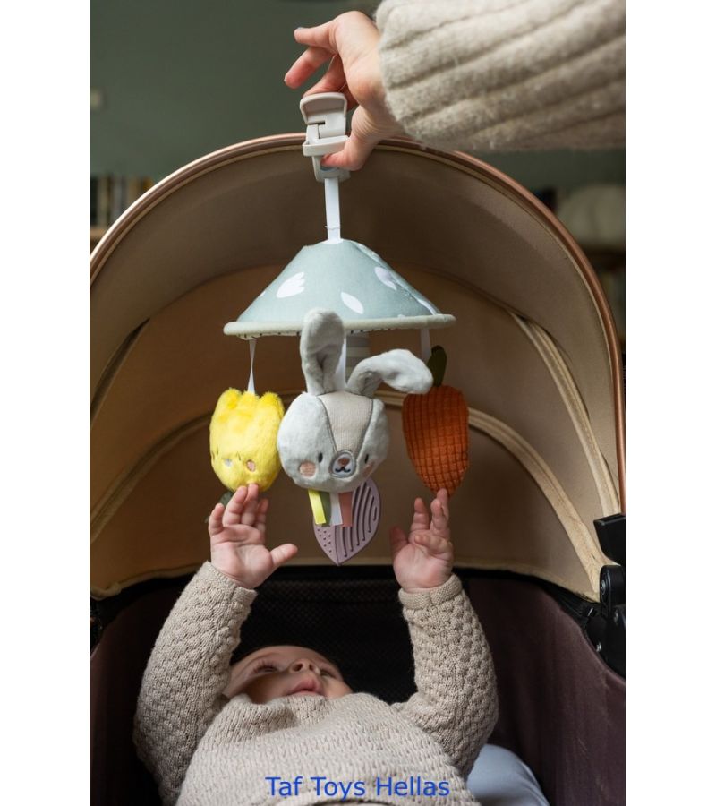 Κρεμαστό παιχνίδι TAF TOYS Garden Pram Mobile 13195