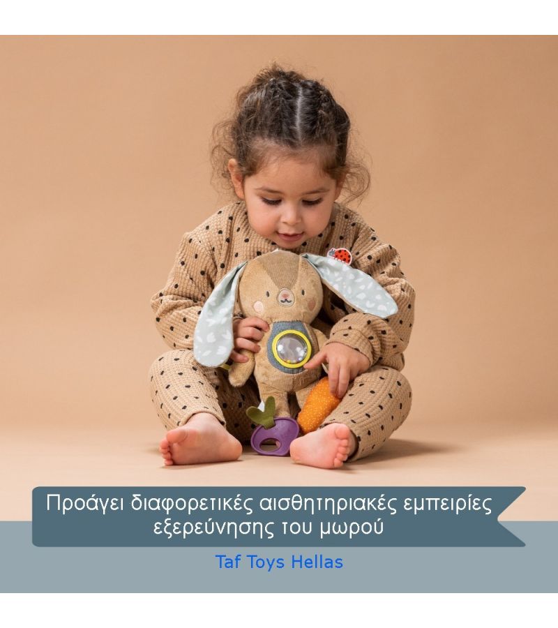 Παιχνίδι δραστηριοτήτων Jenny TAF TOYS 13185