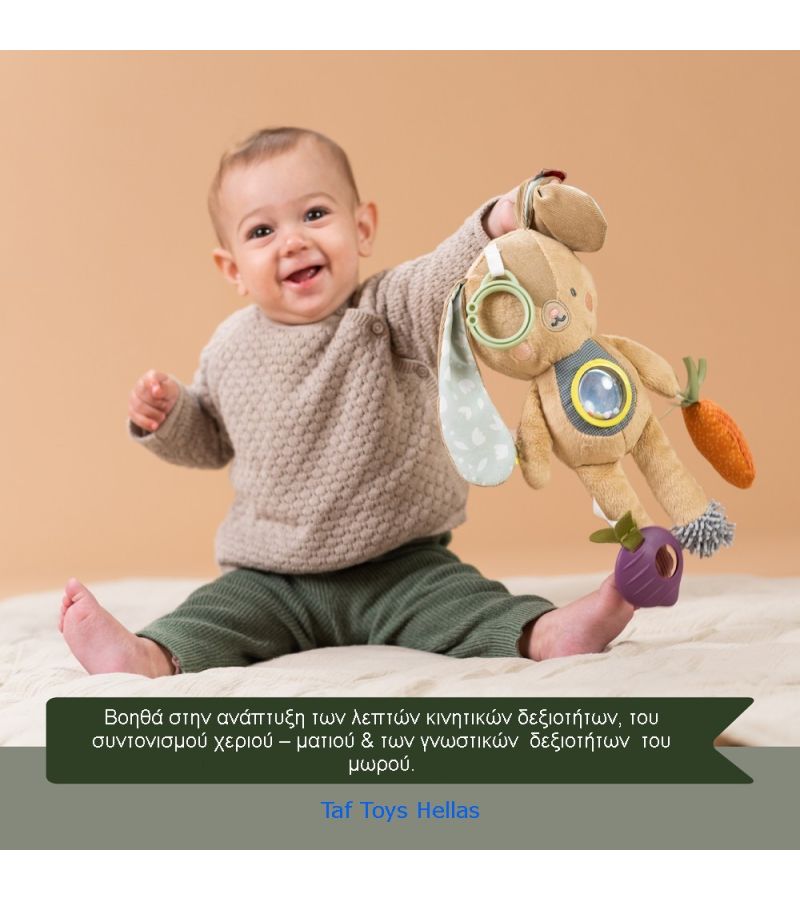 Παιχνίδι δραστηριοτήτων Jenny TAF TOYS 13185
