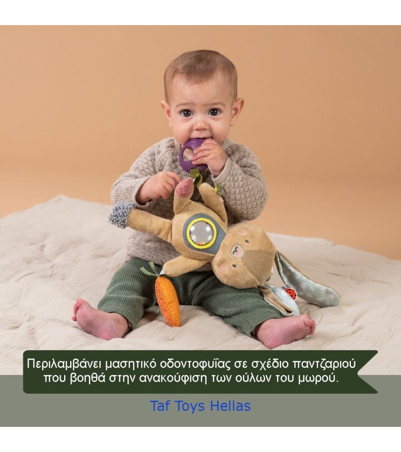 Παιχνίδι δραστηριοτήτων Jenny TAF TOYS 13185