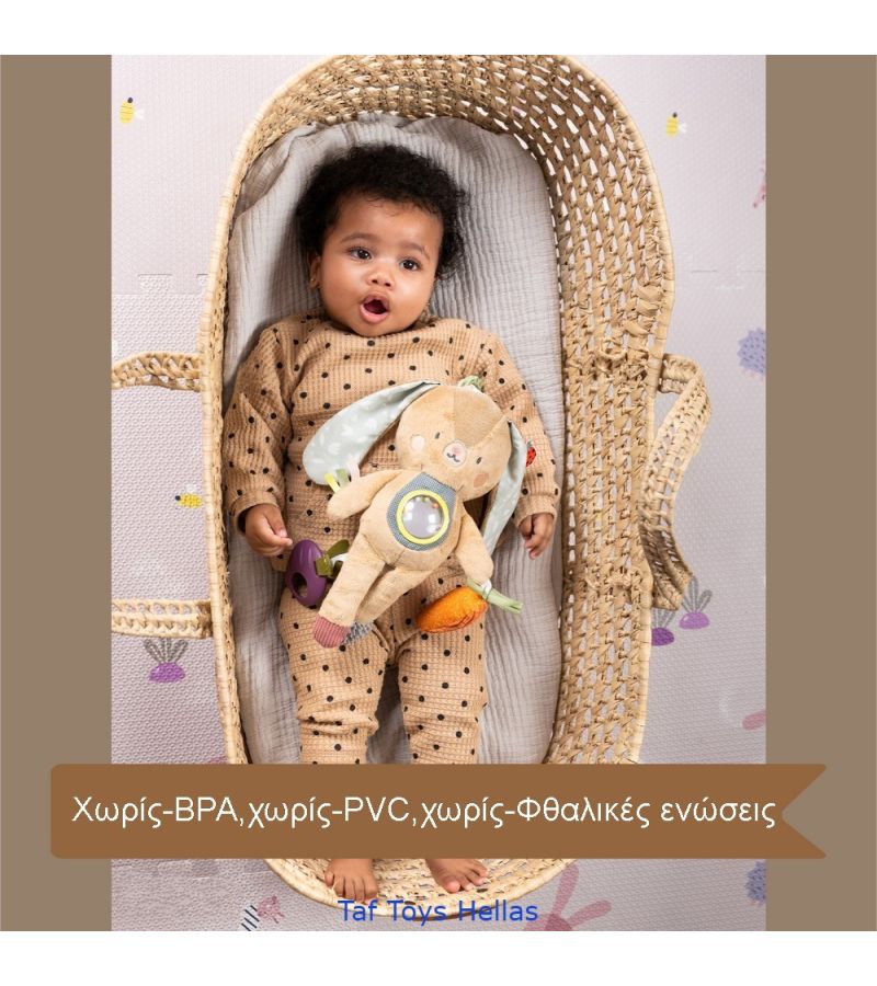 Παιχνίδι δραστηριοτήτων Jenny TAF TOYS 13185