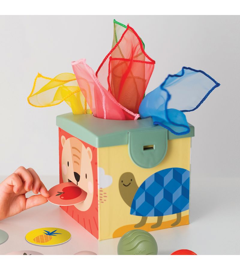 Magic Box TAF TOYS 12m+ T-12965 
