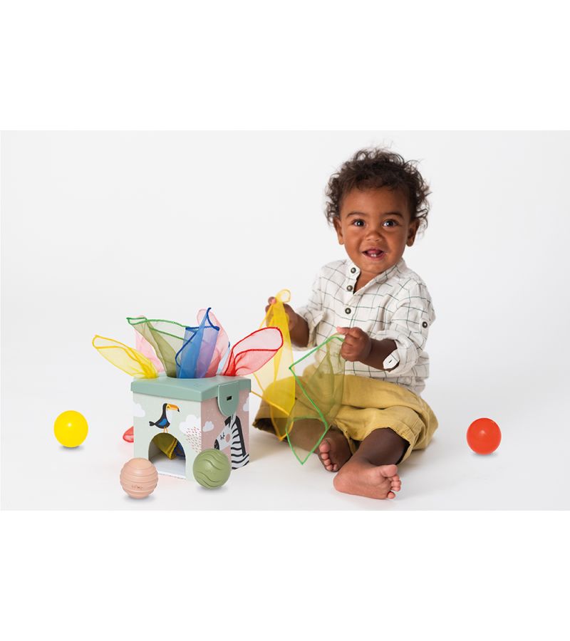 Magic Box TAF TOYS 12m+ T-12965 