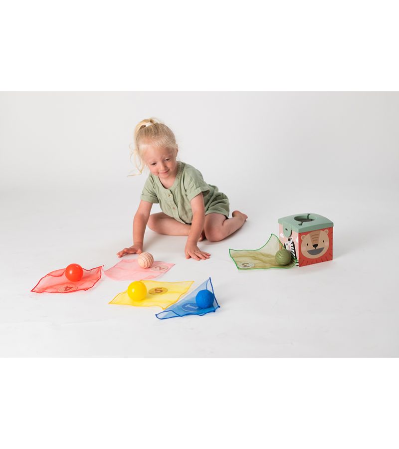 Magic Box TAF TOYS 12m+ T-12965 