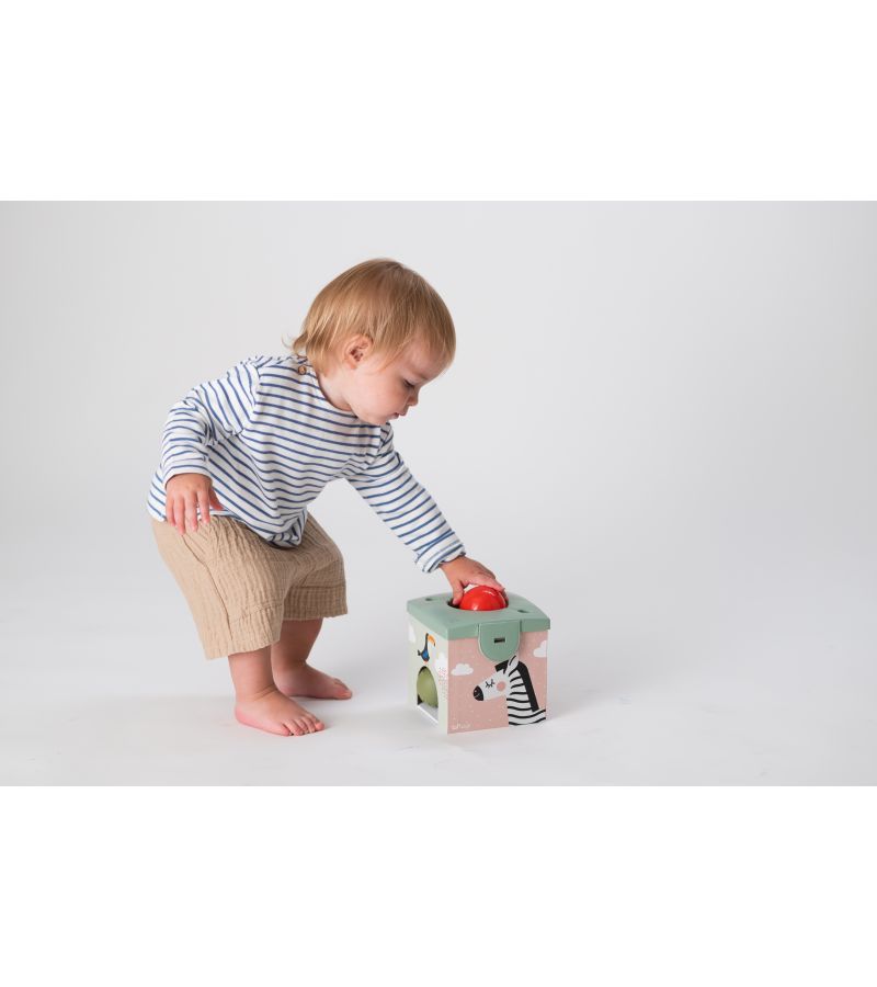 Magic Box TAF TOYS 12m+ T-12965 