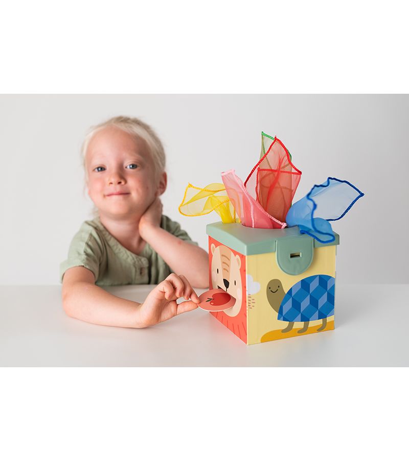 Magic Box TAF TOYS 12m+ T-12965 