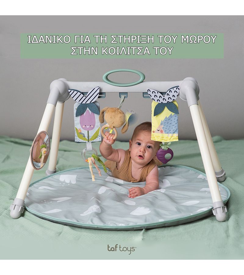 Αναδιπλούμενο Γυμναστήριο TAF TOYS Urban Garden 13075