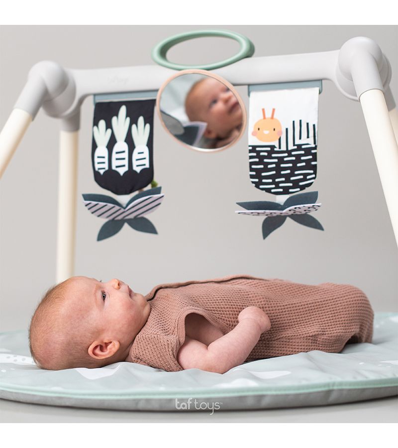 Αναδιπλούμενο Γυμναστήριο TAF TOYS Urban Garden 13075