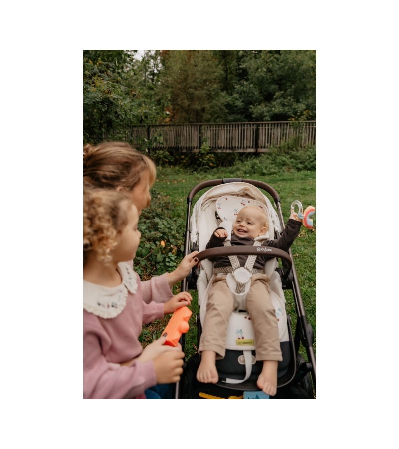 Αντιϊδρωτικό κάλυμμα για καρότσι AEROMOOV Air Layer Cherries  AL-B-CHS