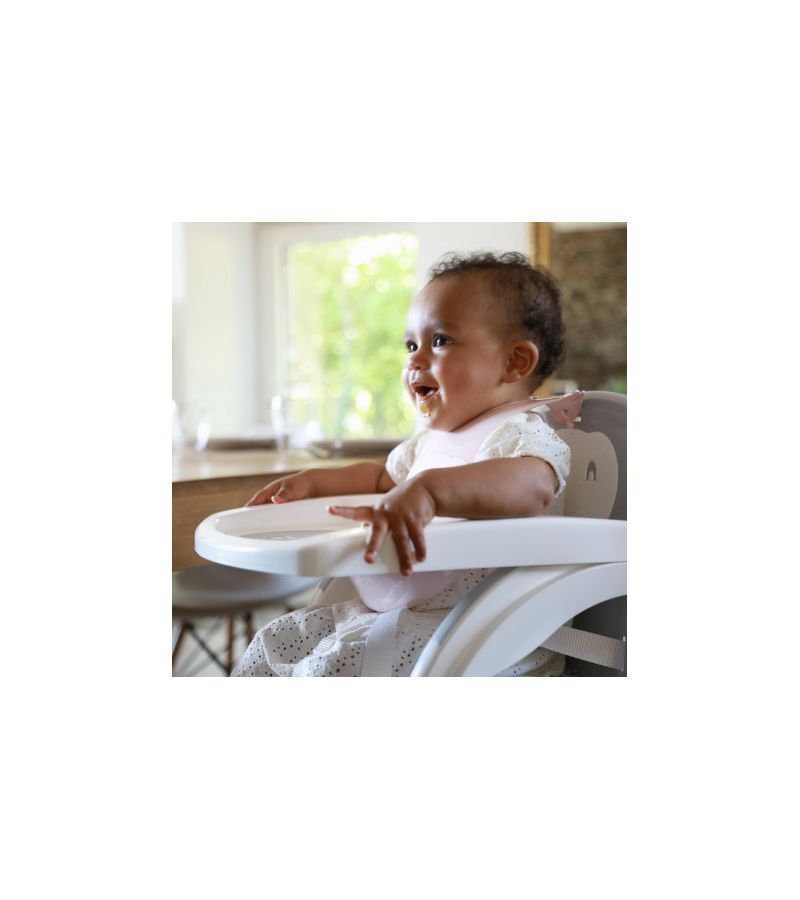 ΚΑΘΙΣΜΑ ΦΑΓΗΤΟΥ BABYTOP GREY CHARM