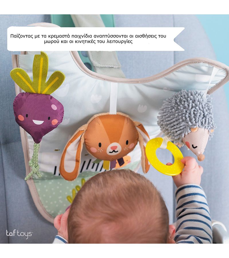 Παιχνίδι για το αυτοκίνητο TAF TOYS Urban Garden In Car Activity Center 13105