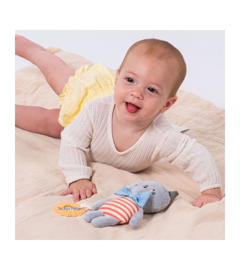 Clara TAF TOYS Λούτρινο Παιχνιδάκι Δραστηριοτήτων T-13525