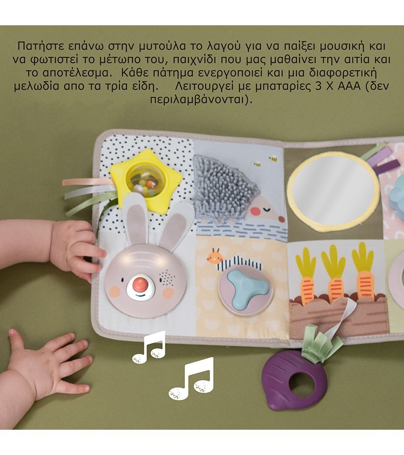 Παιχνίδι δραστηριοτήτων TAF TOYS Developmental Activity Center 13115