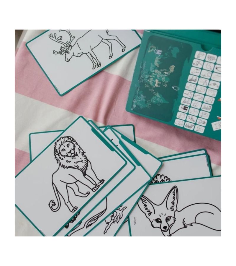 Tablet ζωγραφικής με οθόνη LCD (30 κάρτες) KIDYWOLF Animals Around The World