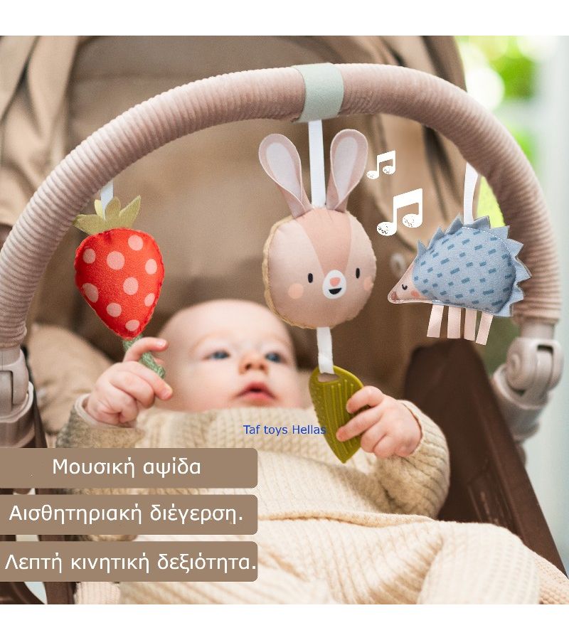 Μουσική αψίδα TAF TOYS Bunny Arch 13415
