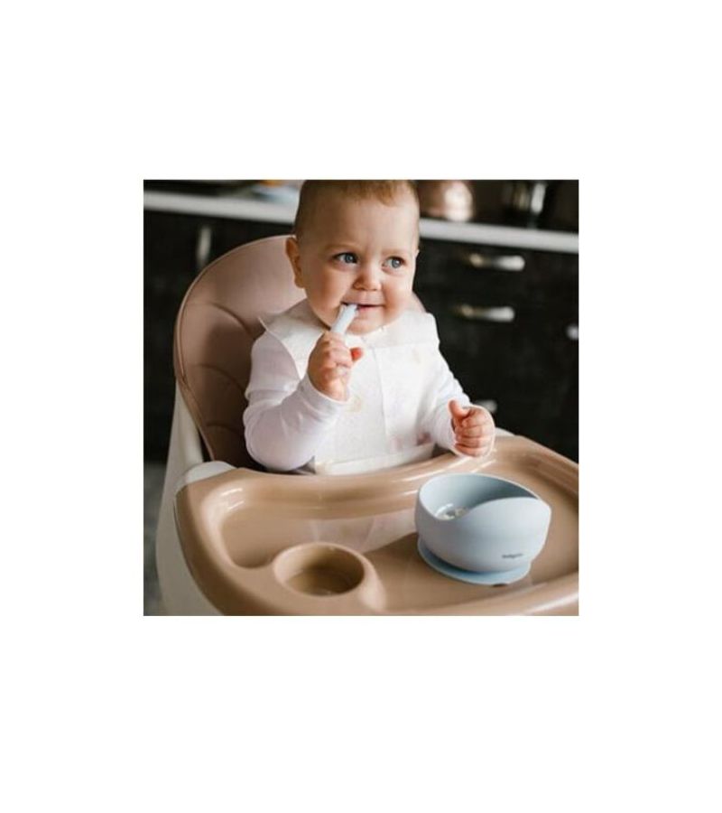 Μπωλ σιλικόνης με βεντούζα BABYONO Blue BN1481/01