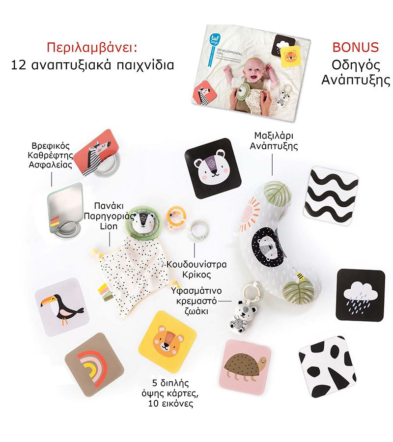 Σετ δραστηριοτήτων για νεογέννητο  Develop & Play Kit TAF TOYS 12915