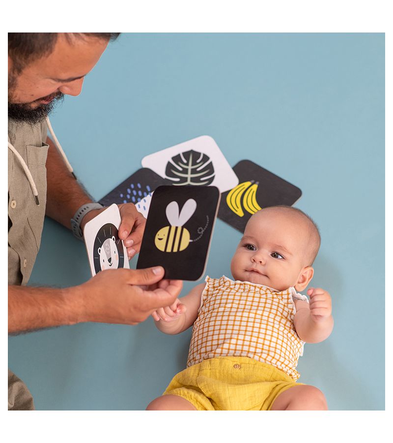 Παιχνίδι με Κάρτες My 1st Tummy-time Cards TAF TOYS 12835