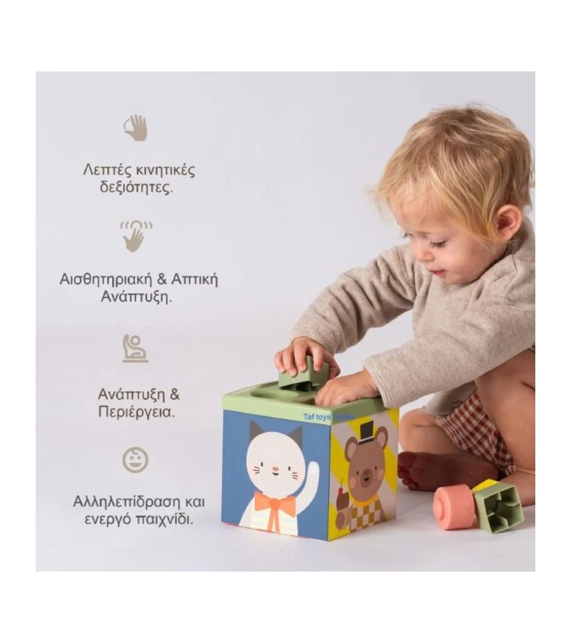 Κύβος Ανακάλυψης TAF TOYS Play Discover Cube T-13645