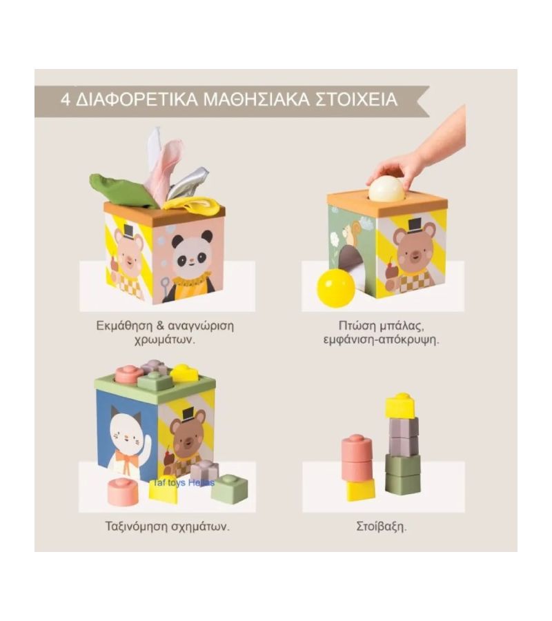 Κύβος Ανακάλυψης TAF TOYS Play Discover Cube T-13645