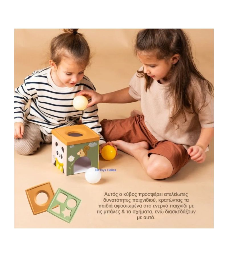 Κύβος Ανακάλυψης TAF TOYS Play Discover Cube T-13645