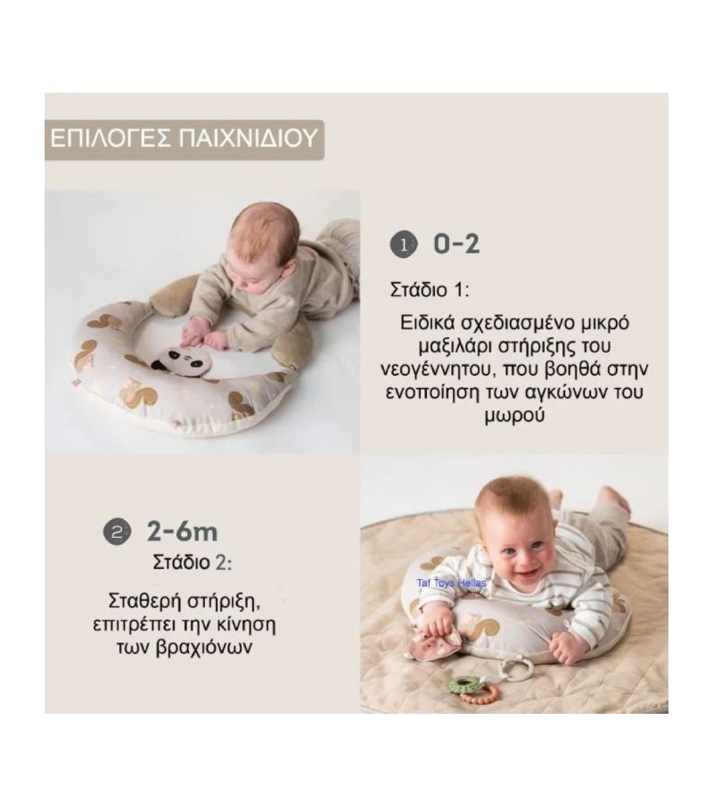 Μαξιλαράκι Δραστηριοτήτων TAF TOYS Tummy Time First T-13805