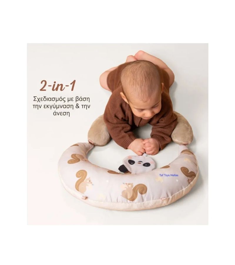 Μαξιλαράκι Δραστηριοτήτων TAF TOYS Tummy Time First T-13805