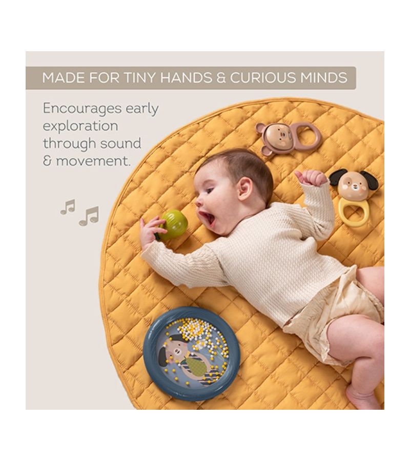 Musical Discovery Kit TAF TOYS T-13875