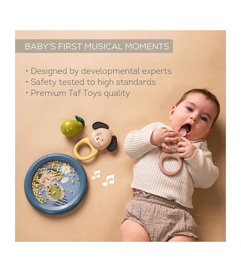 Musical Discovery Kit TAF TOYS T-13875